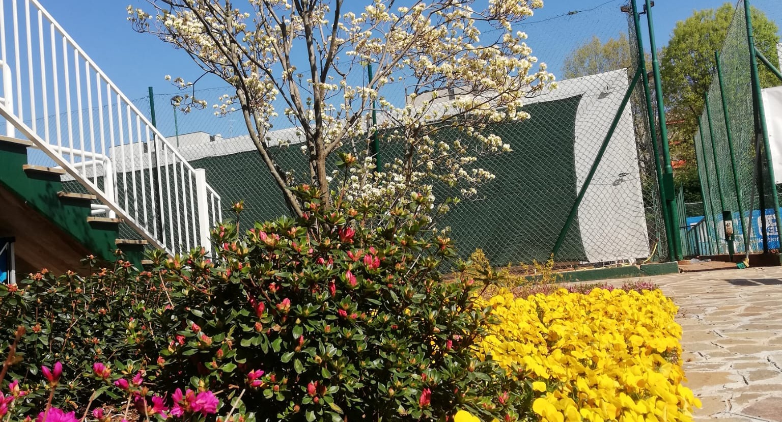 SPORTING CLUB SARONNO — photo 18