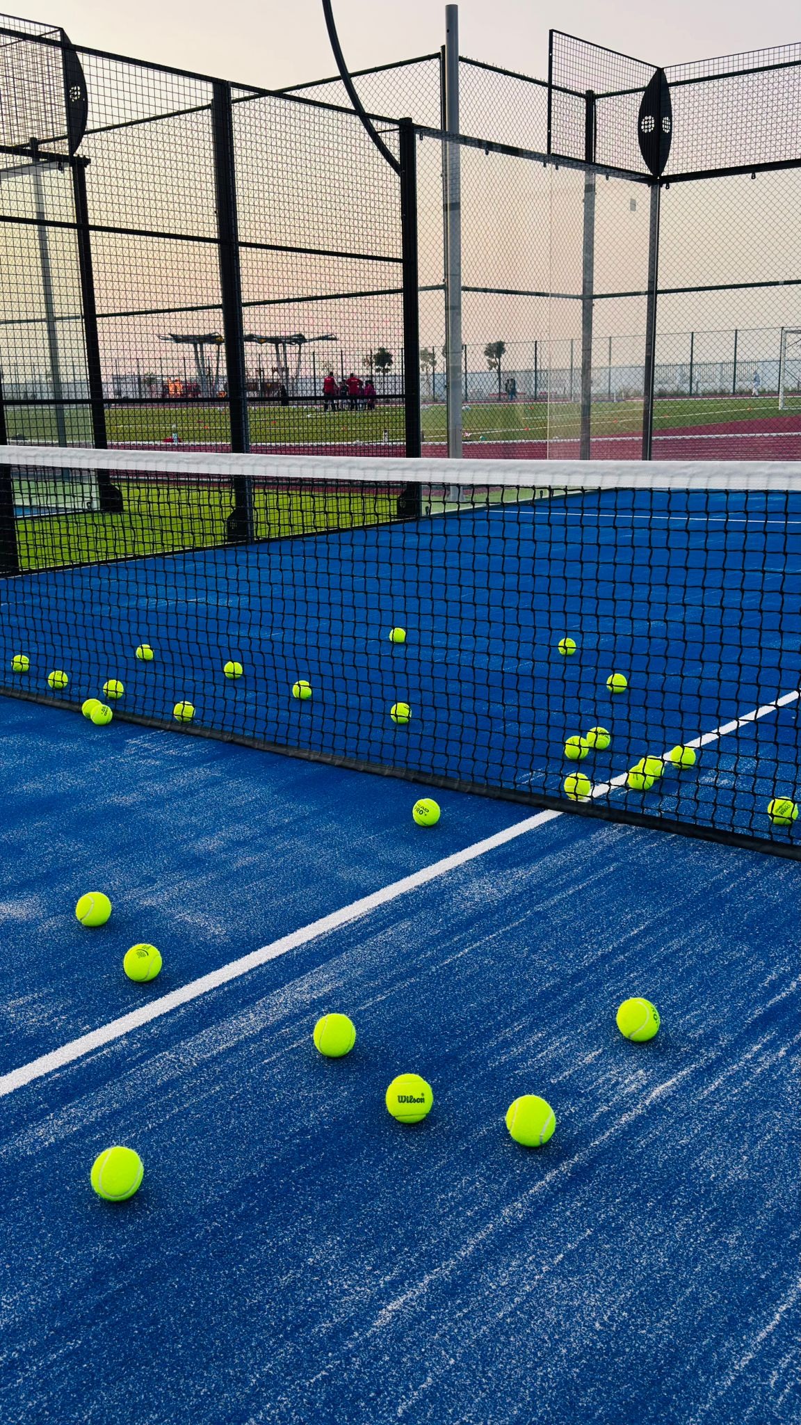 Sports Vision Courts — photo 3