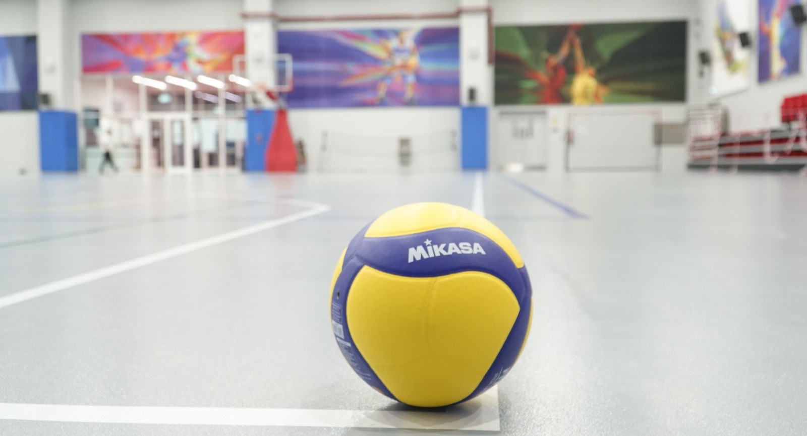Sports Vision Courts — photo 7