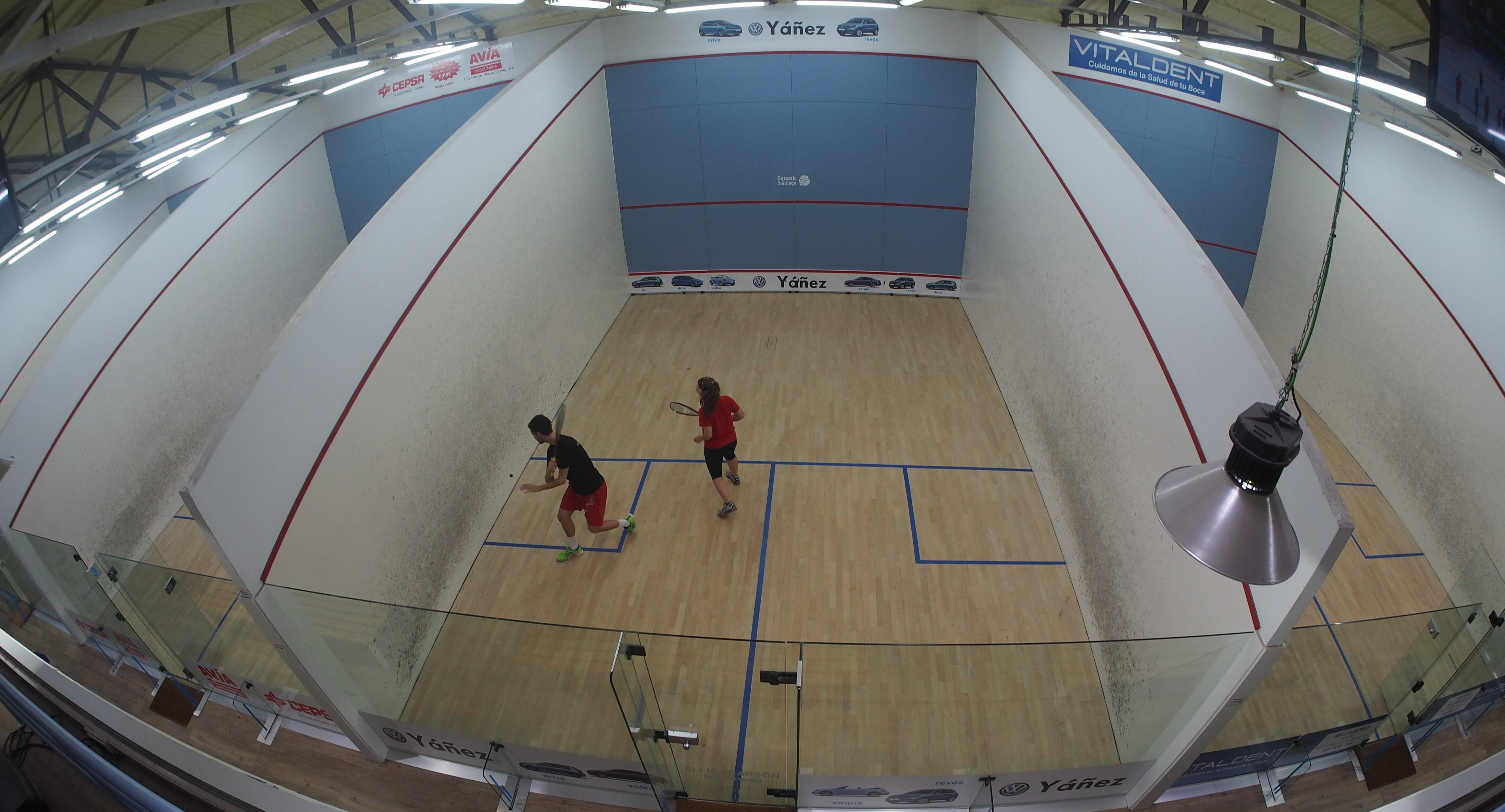 Squash Santiago — photo 2