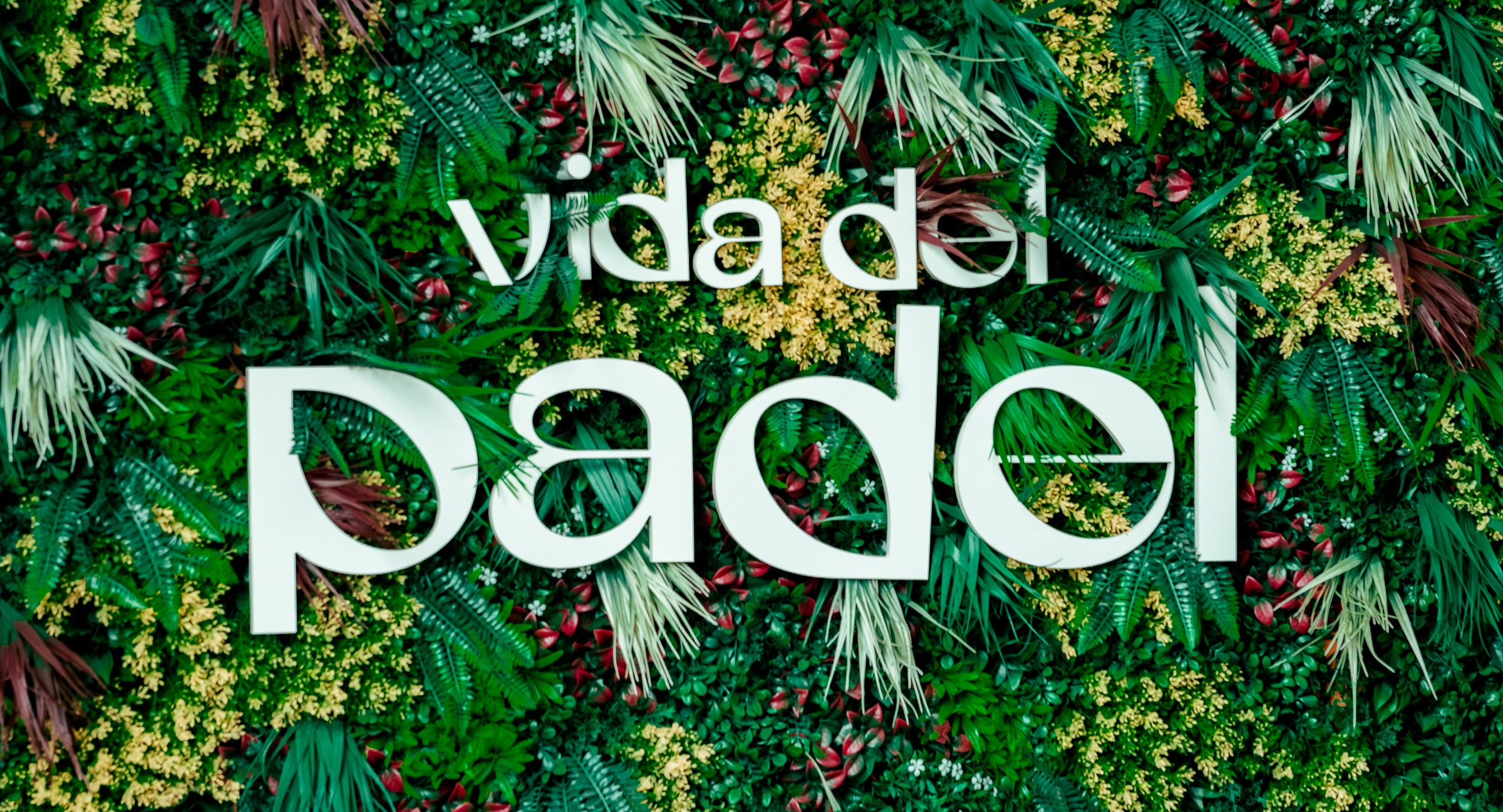 Vida Del Padel - Lincoln  — photo 4