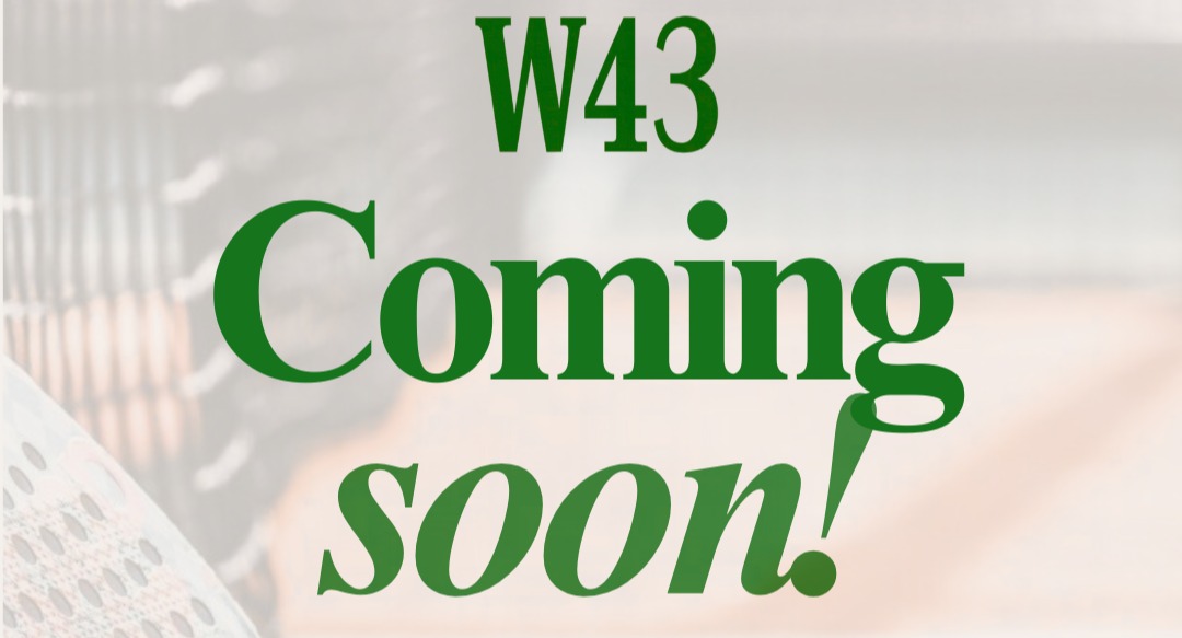 West43 Padel — photo 2