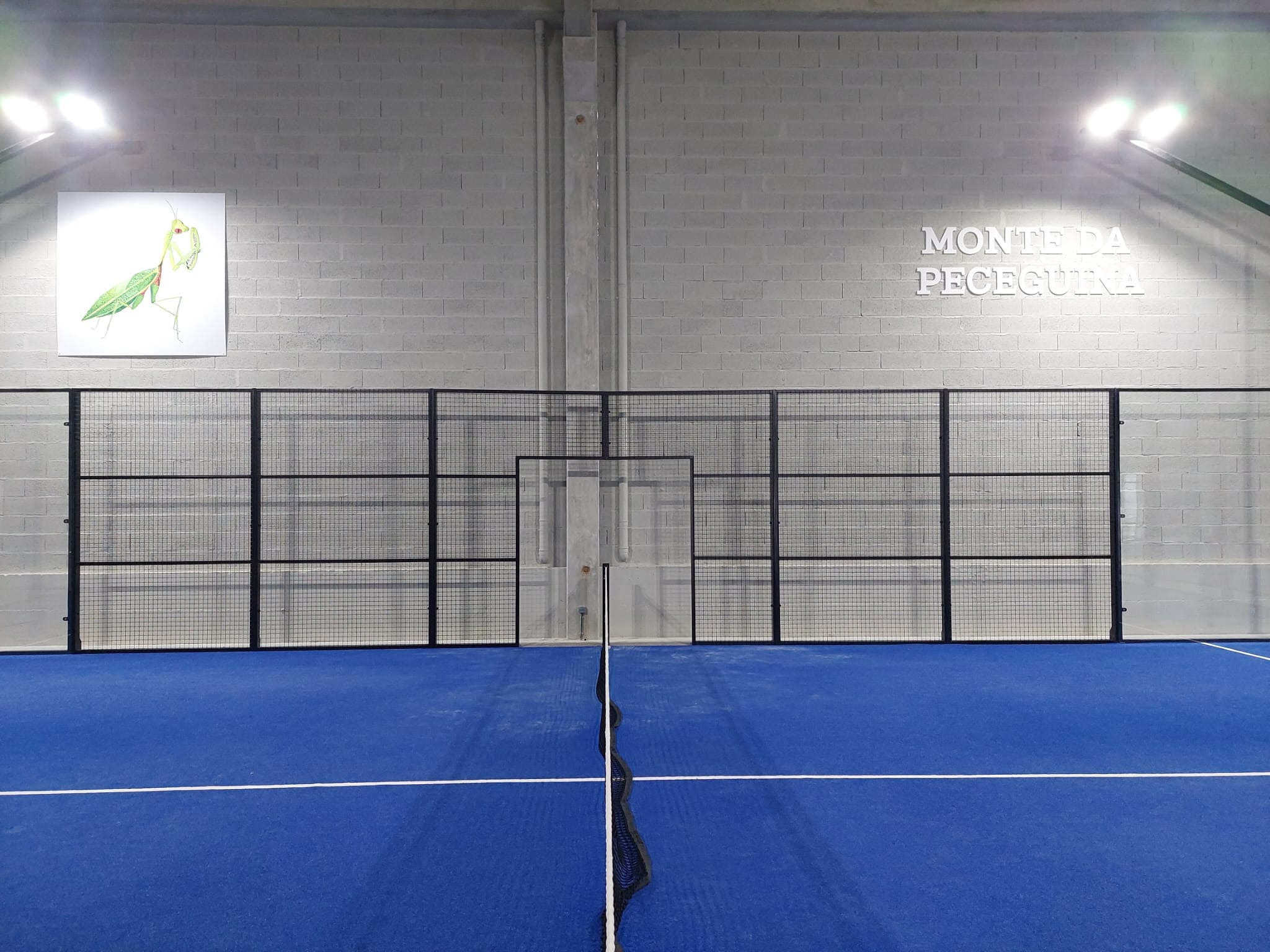 X Padel — photo 7