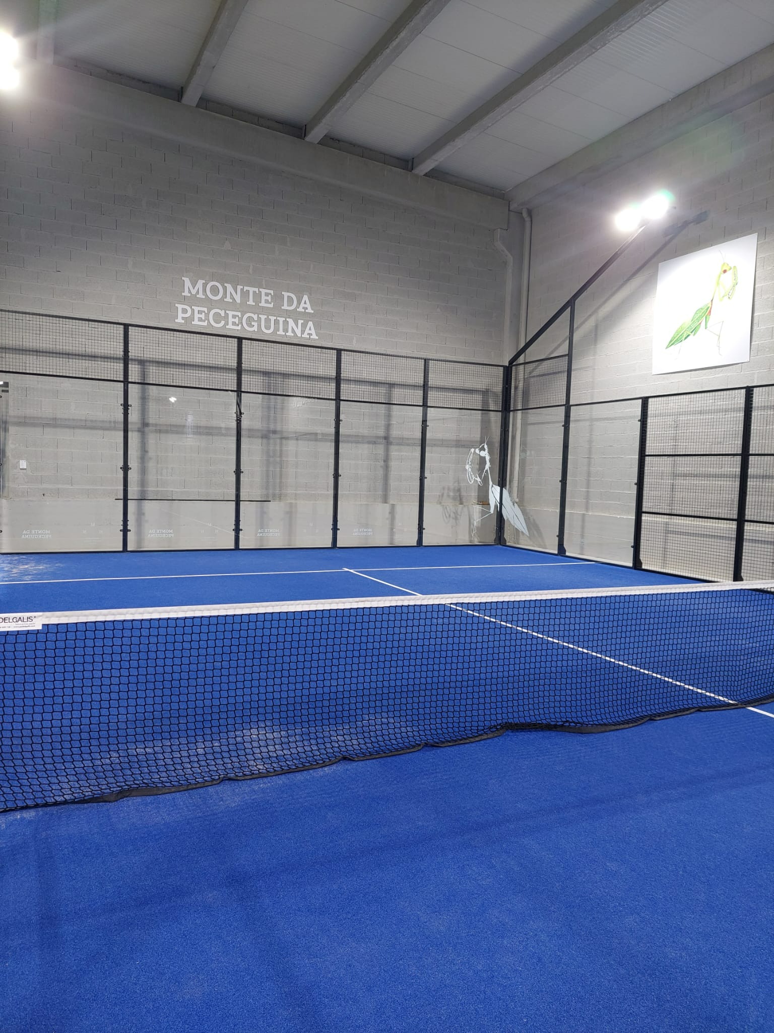 X Padel — photo 8